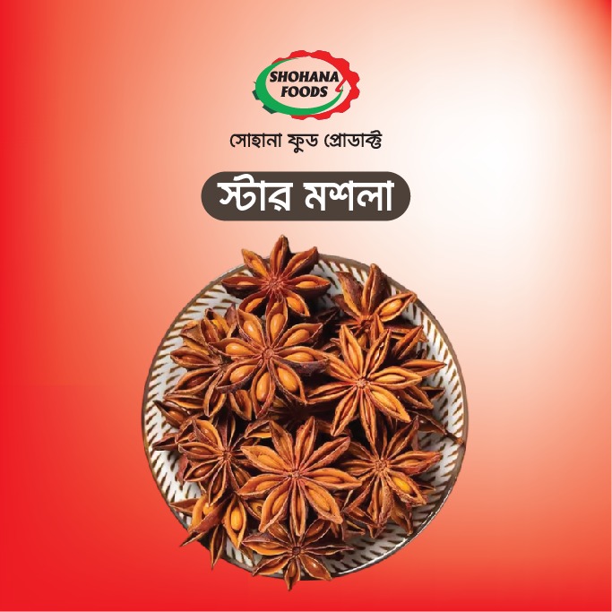 স্টার মসলা